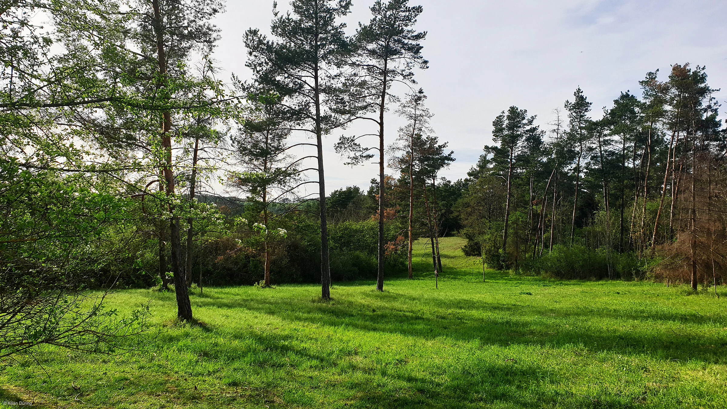 Wanderparadies (Münnerstadt, Rhön)