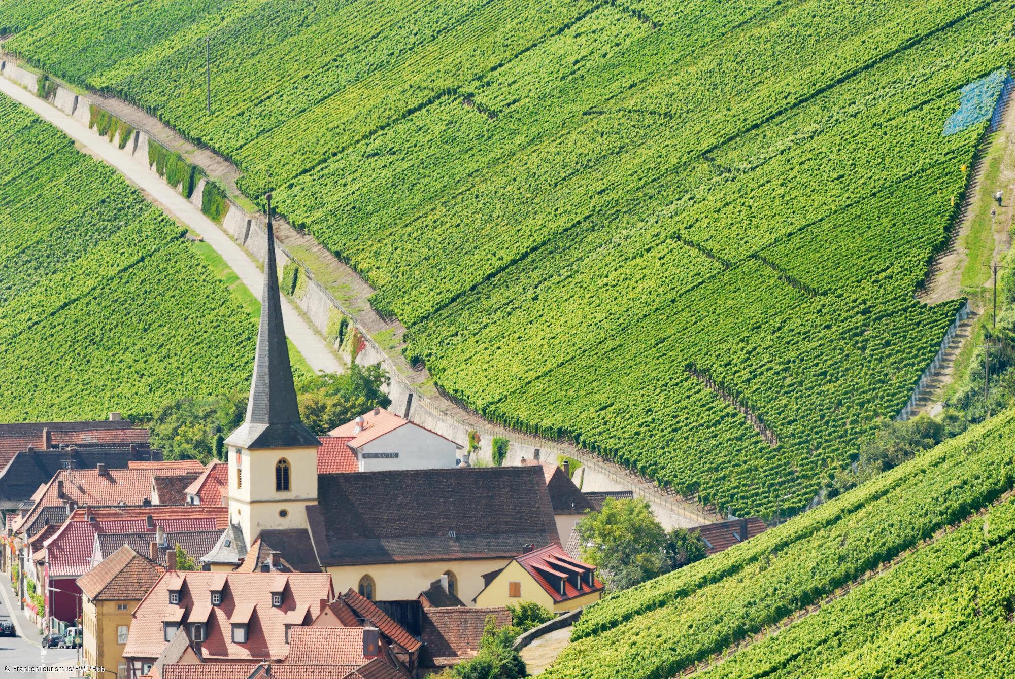 Escherndorf mit Weinbergen