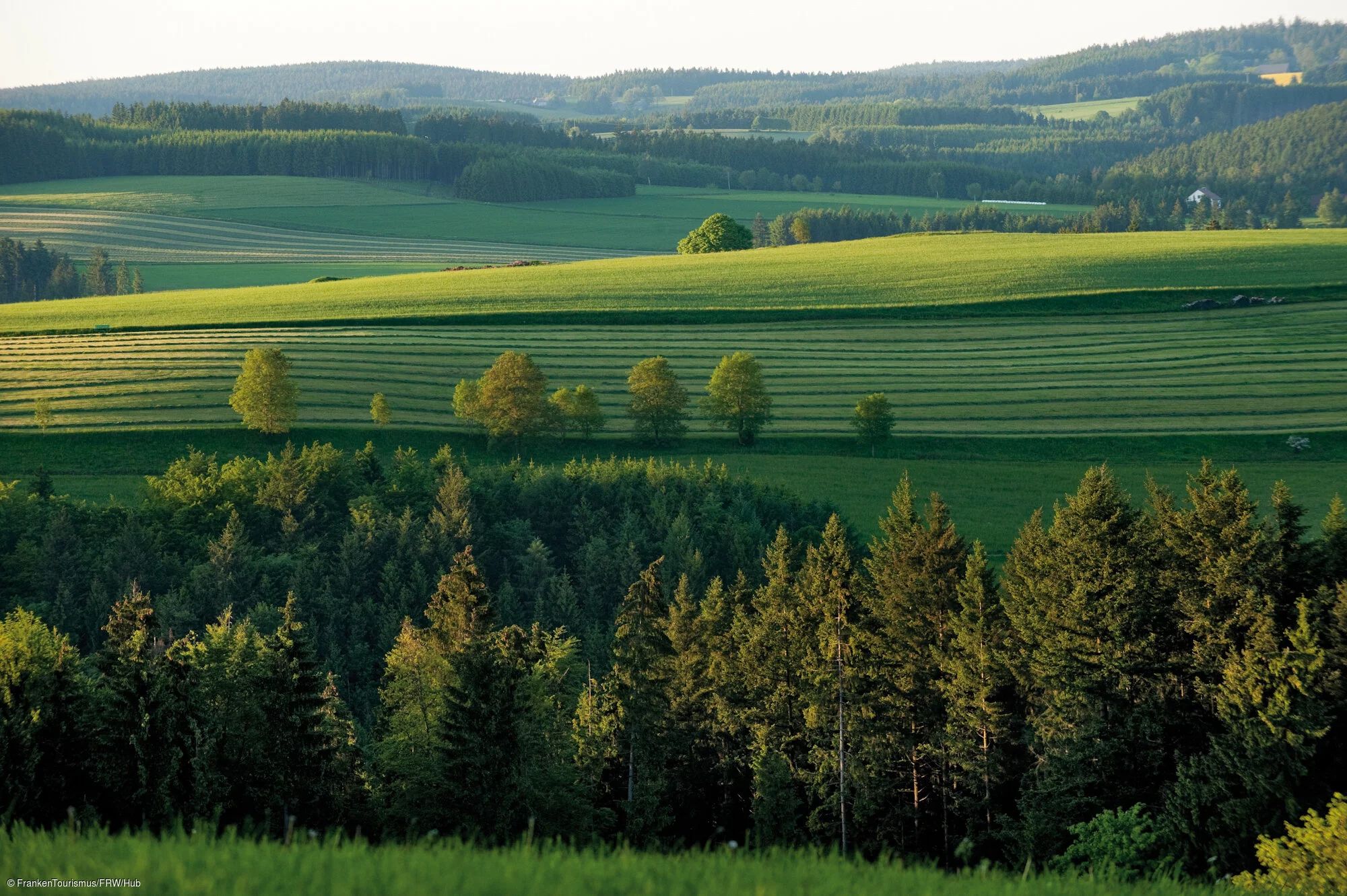 Naturpark Frankenwald (Issigau/Frankenwald)