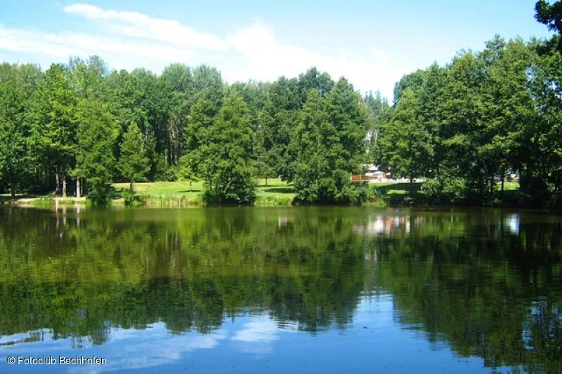 Idylle am Krummweiher (Bechhofen, Fränkisches Seenland)