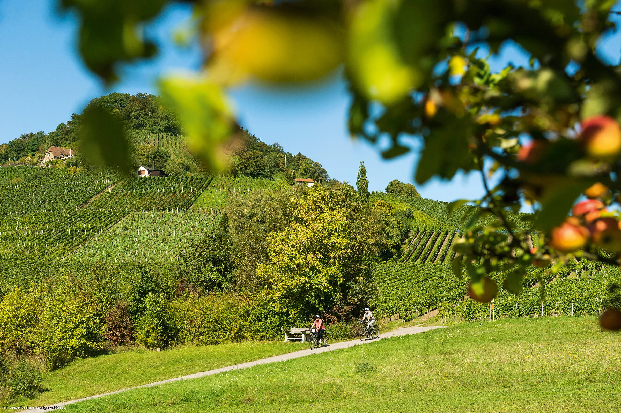 Radeln im Handthal (Oberschwarzach/Steigerwald)