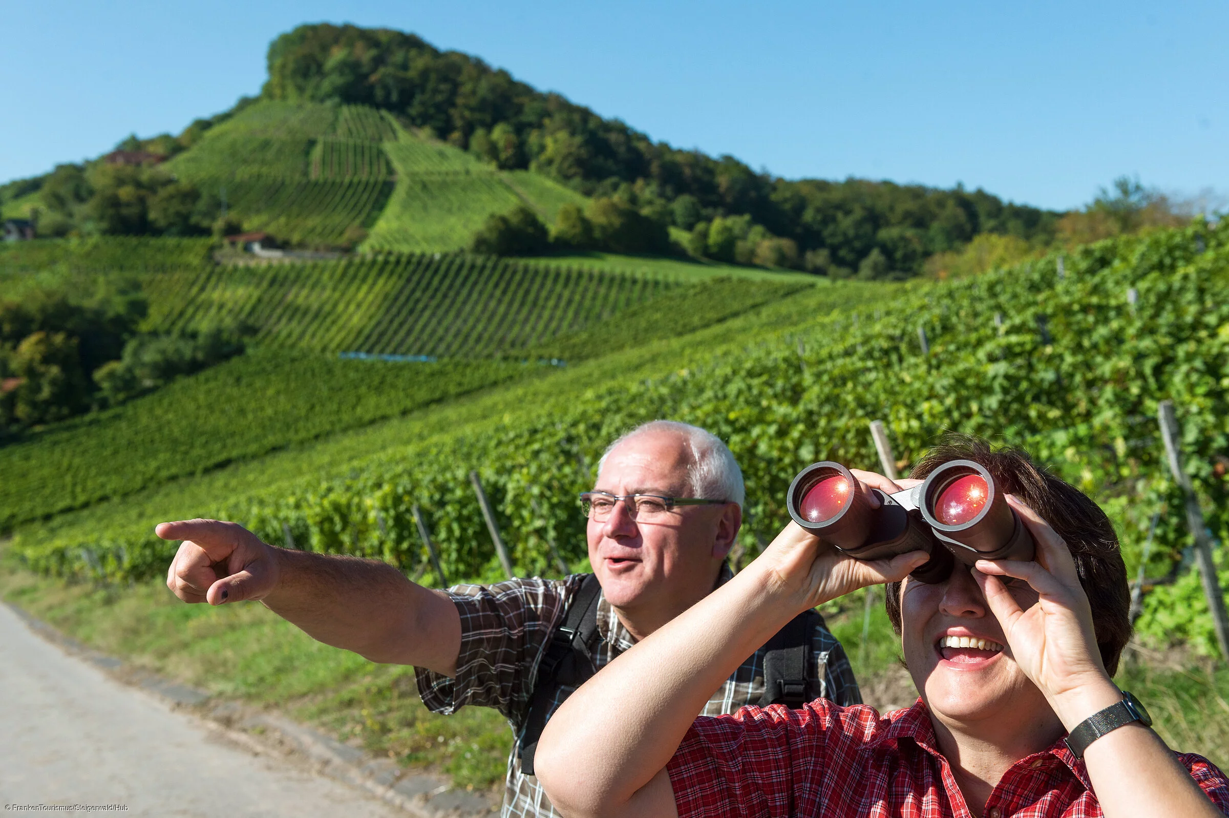 Am Kelten-Erlebnisweg im Handthal (Oberschwarzach/Steigerwald)