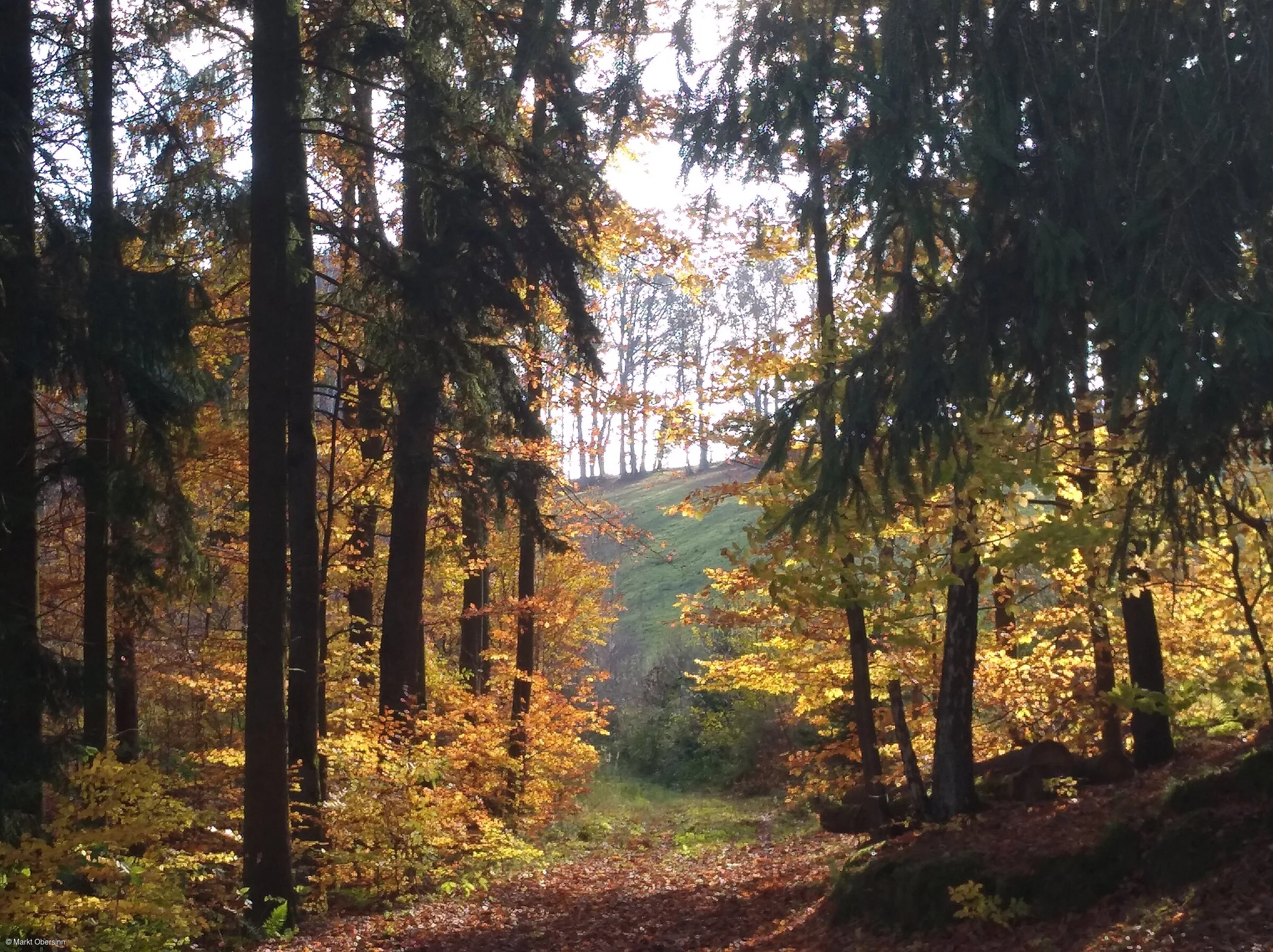 Weg nach Emmerichsthal (Obersinn, Spessart-Mainland)