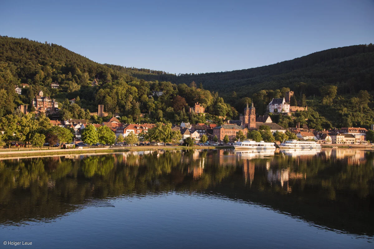 Stadtansicht (Miltenberg, Spessart-Mainland)