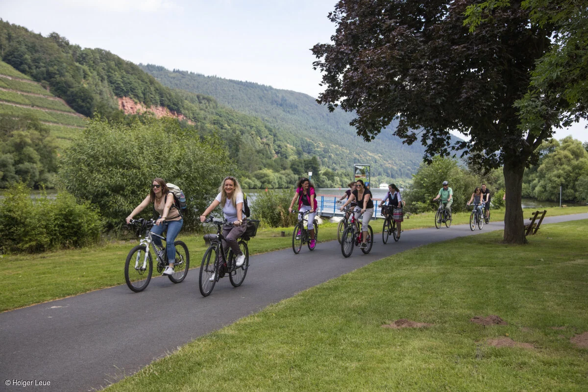 Mainradweg (Bürgstadt, Spessart-Mainland)