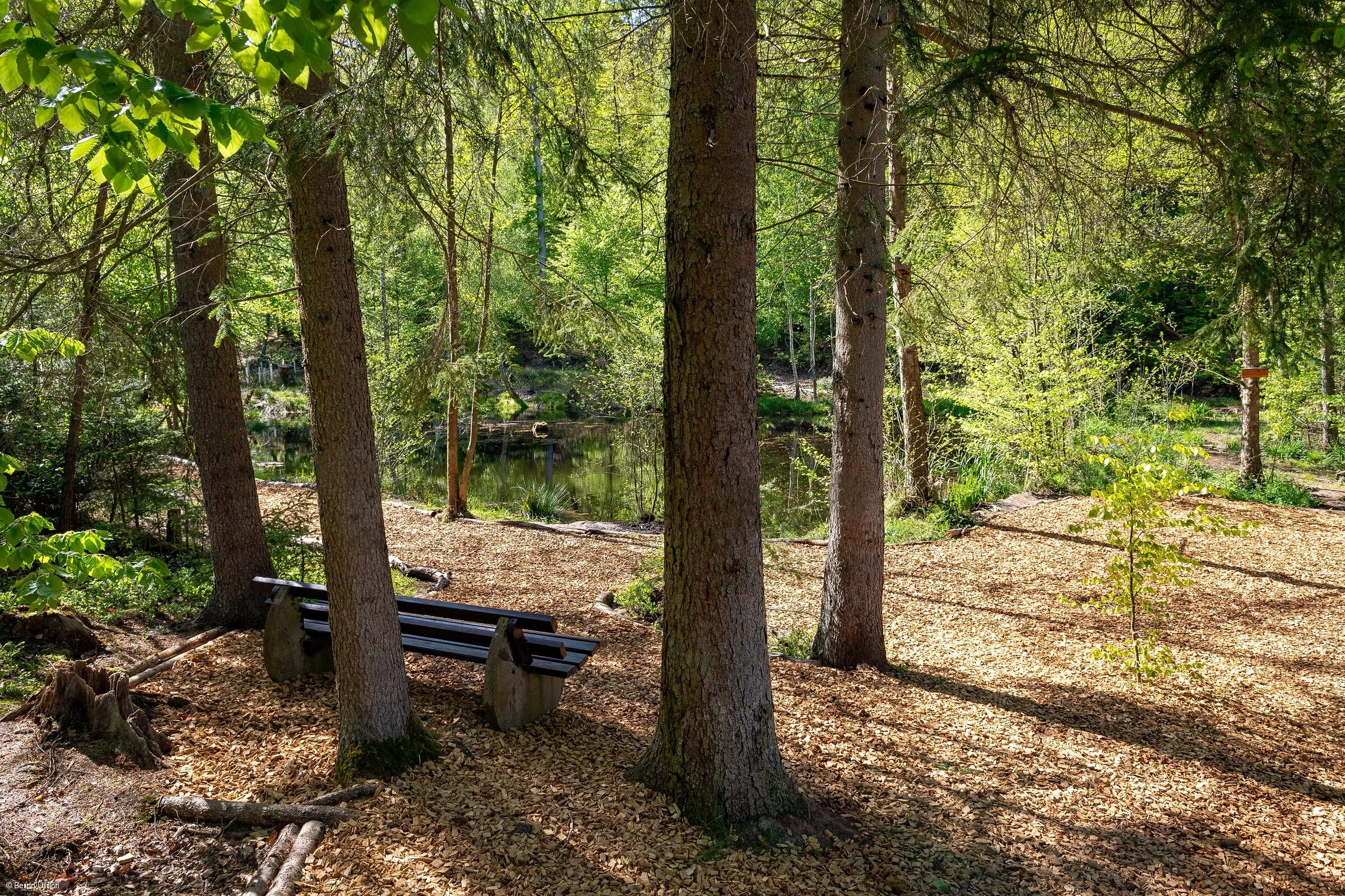 Waldsee (Rüdenau, Spessart-Mainland)