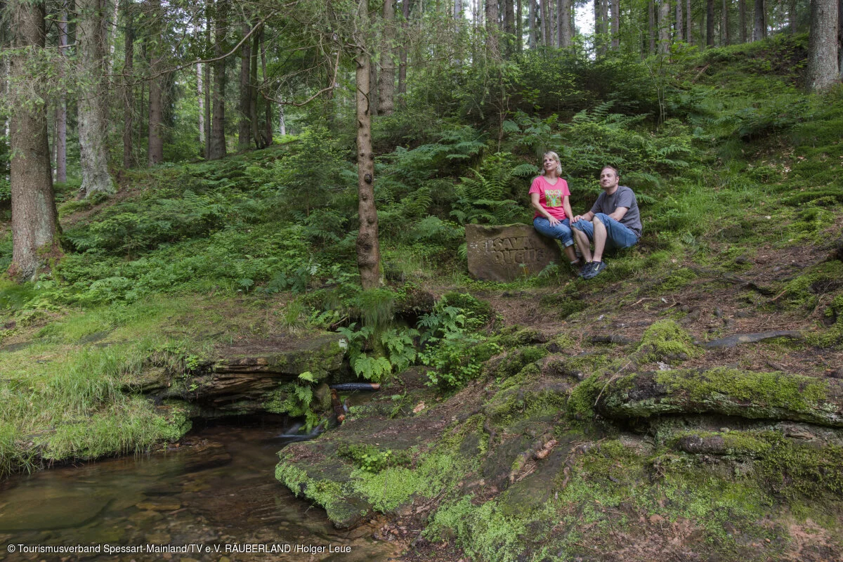 Elsavaquelle (Mespelbrunn, Spessart-Mainland)