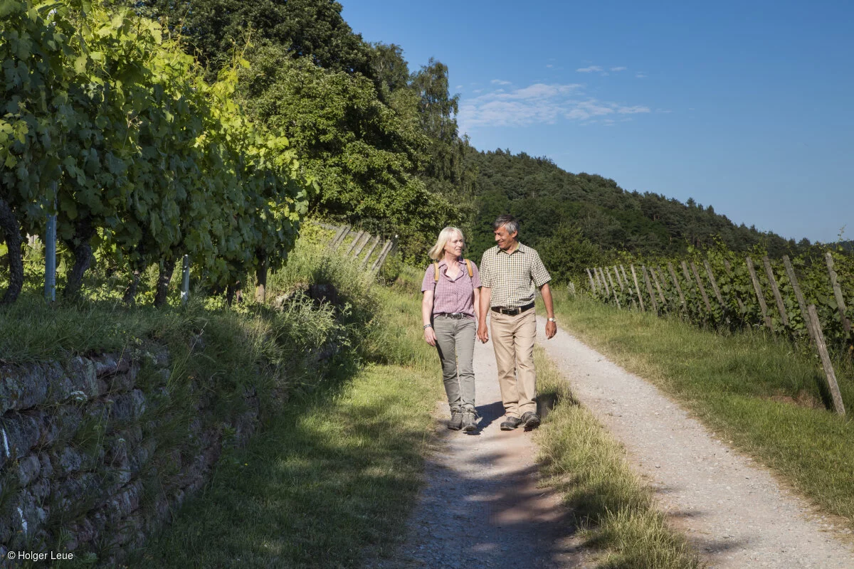 Fränkischer Rotwein-Wanderweg (Bürgstadt, Spessart-Mainland)