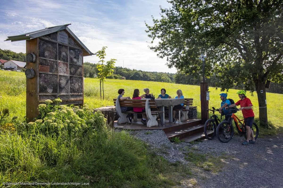 Aktiv (Leidersbach, Spessart-Mainland)