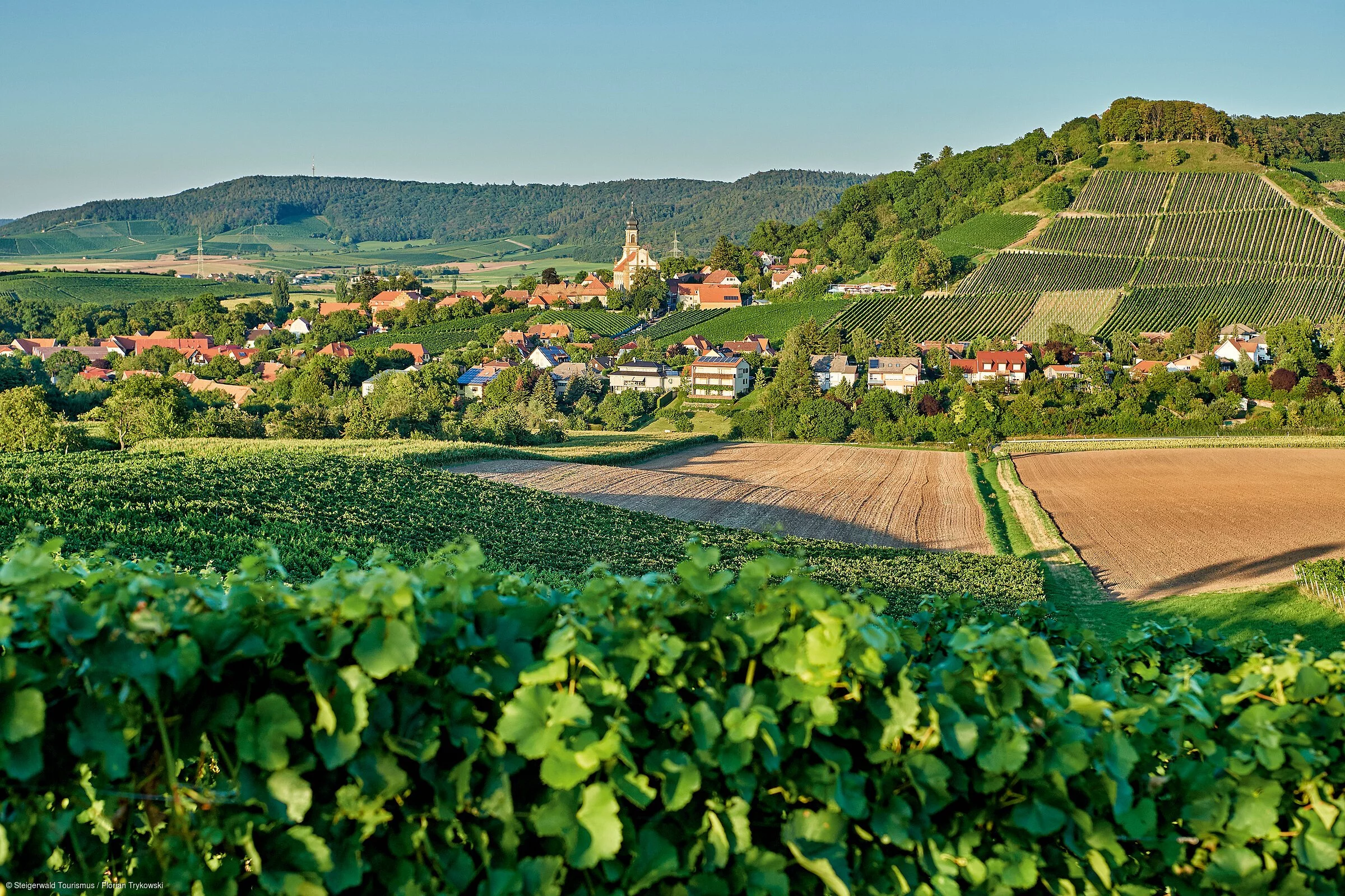 Ausblick auf Castell (Castell/Steigerwald)