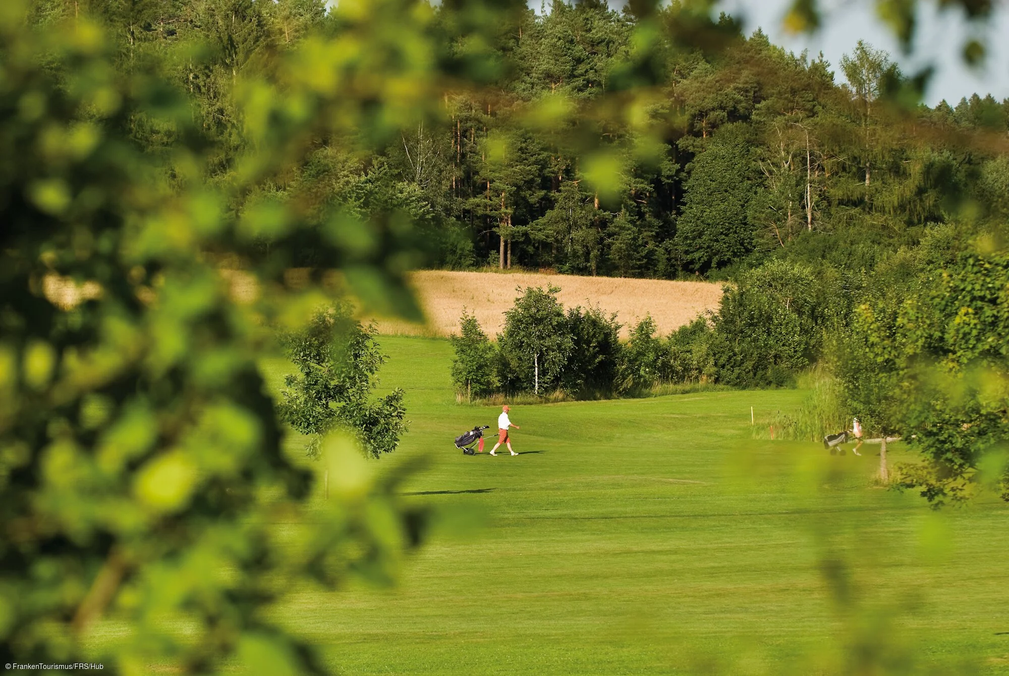 Golfen bei Weidenloh (Fränkische Schweiz)