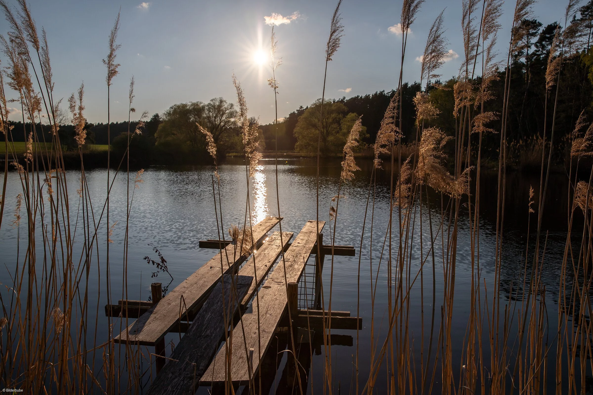 Abendstimmung (Adelsdorf, Steigerwald)