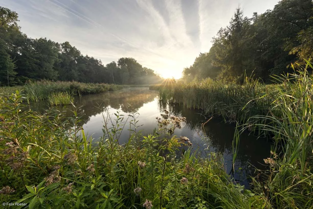 Krugsweiher (Feucht, Nürnberger Land)